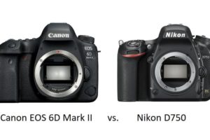 Vergleich zwischen Canon EOS 6D Mark II und Nikon D750