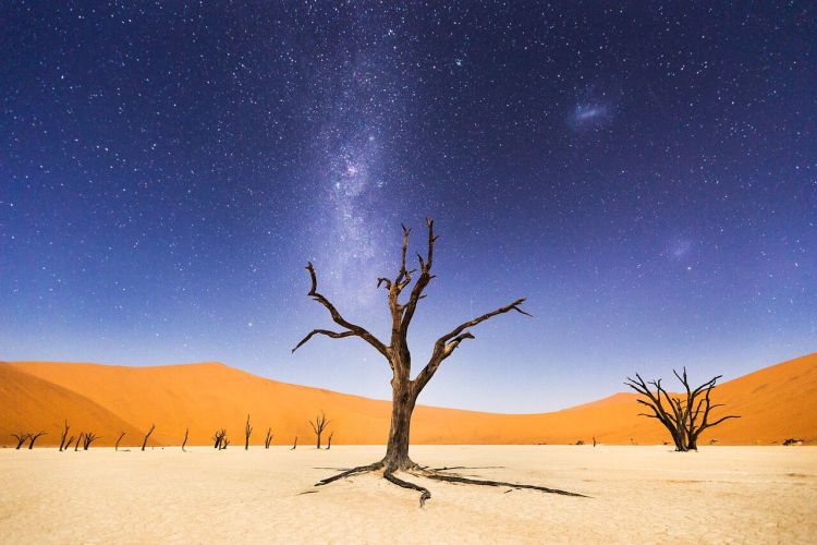 A Night at Deadvlei The night before returning to Windhoek, we spent several hours at Deadveli. The moon was bright enough to illuminate the sand dunes in the distance, but the skies were still dark enough to clearly see the milky way and magellanic clouds. Deadveli means “dead marsh.” The camelthorn trees are believed to be about 900 years old, but have not decomposed because the environment is so dry. Photo and caption by Beth McCarley/National Geographic Traveler Photo Contest