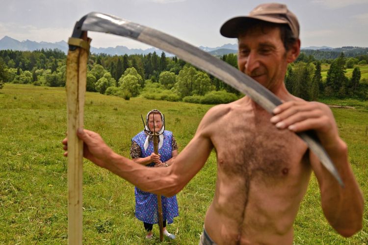 Highlanders Traditional haymaking in Poland. Many people continue to use the scythe and pitchfork to sort the hay. Photo and caption by Bartłomiej Jurecki/National Geographic Traveler Photo Contest